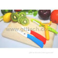 Ceramic Fruit Knife with LFGB and FDA Product Approvals